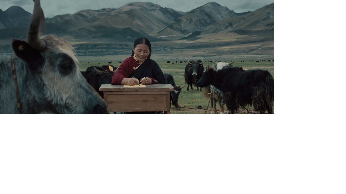 TVC升級版導(dǎo)演要干嘛？學(xué)會這些快速入行